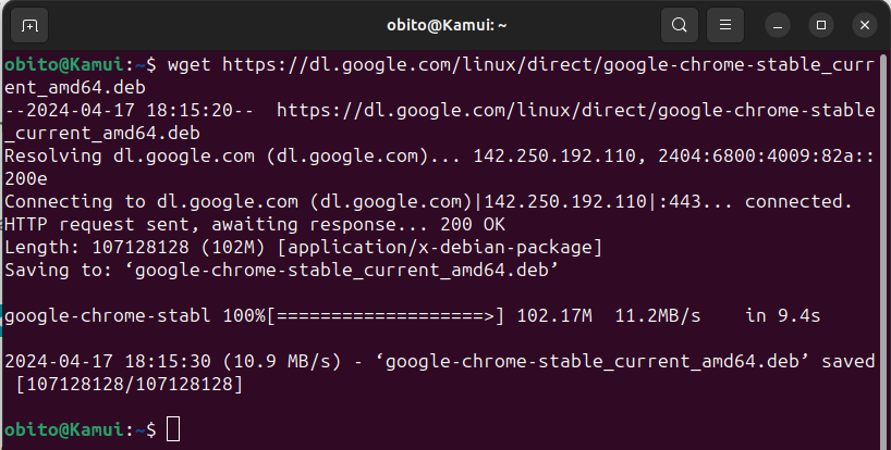 Install Chrome on Ubuntu Using Terminal 5
