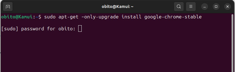 Install Chrome on Ubuntu Using Terminal 7